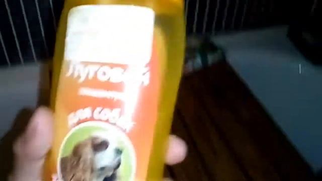 Зоопокупки для щенка из зоомагазина