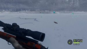 theHunter Call of the Wild #12 ? - Медвежья Тайга (часть 1) - Свободная Охота