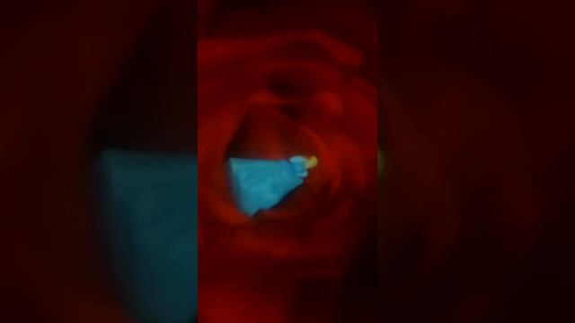 История Золушки.(1) смотреть онлайн