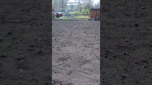 Електроплуг