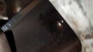 ОДНА ИЗ ПРИЧИН ТУГОГО СЦЕПЛЕНИЯ НА ГАЗЕЛИ