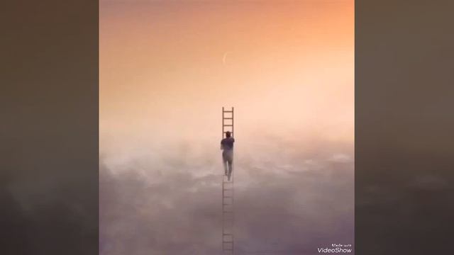 25/17-На крыльях мечты смотреть онлайн