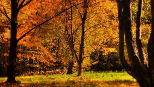 Осень... Стихотворение смотреть онлайн