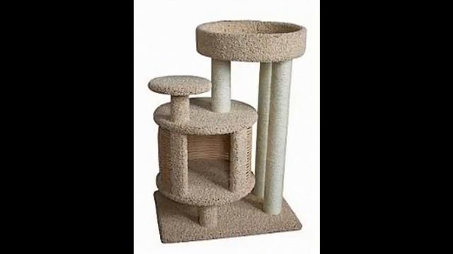 домики для кошек игры смотреть онлайн