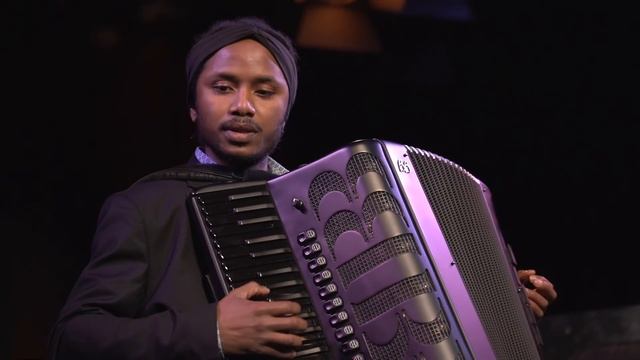 Bruno Galeone: Sul bel Danubio blu (An der schönen blauen Donau) - Accordion Solo смотреть онлайн