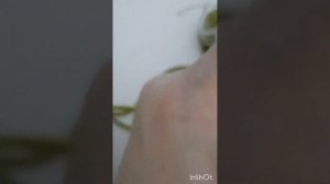 МК .ЖИЛЕТ/БЕЗРУКАВКА на рост 74 -80см(цельновязаная )#вязание # безрукавка#vest#yelek??