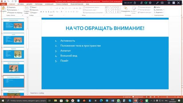 Что нужно знать перед приемом ветврача орнитолога. И не только! смотреть онлайн