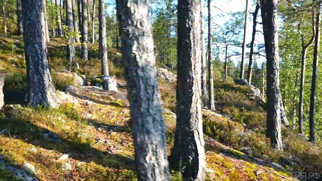 Рысья гора в Карелии на границе с Финляндией. 40 км на машине от парка Рускеала. Северное Приладожь смотреть онлайн