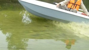 кайман 300 ветерок 8