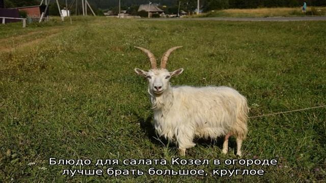 Влоги с Путешествиями