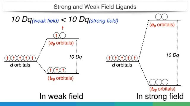 Strong and Weak Field Ligands | Coordination Chemistry | смотреть онлайн
