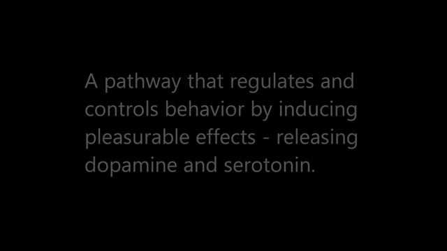 Brain Reward Pathway смотреть онлайн