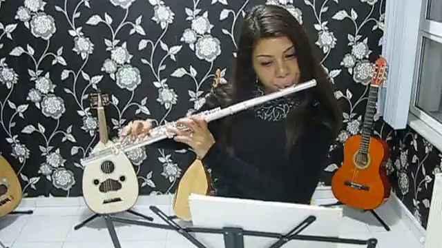 ÇAPA ARMONİ SANATTA YAN FLÜT DERSLERİ 0(212) 589 74 94 смотреть онлайн