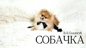 «Собачка». В.А.Соллогуб. Читает Владимир Антоник