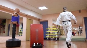 ЙОП ЧАГИ в прыжке. Taekwondo WTF.