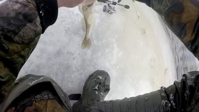 Судак на микрожиг в марте на Москве реке. смотреть онлайн