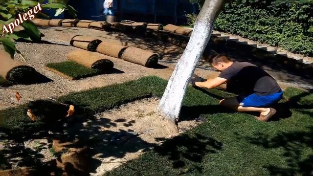 Як постелити газон на крутому схилі? Обєкт №9