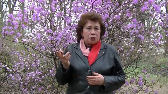 Притча, Про критика. Наталья Кучеренко. смотреть онлайн