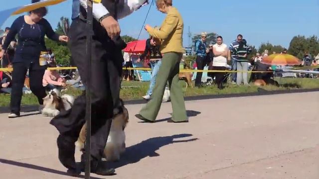 сравнение на ВОВа-1(28.09.13 Севастополь) смотреть онлайн