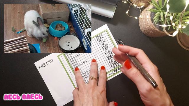 #011 система конвертов итоги августа. 💖✔ Вышла в плюс!! Есть на кирпичики!)) #деньги #семейныйвлог смотреть онлайн