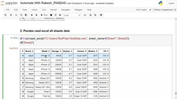 Pandas Read Excel as Dataframe | Pandas Read Excel all Sheets Data | Pandas Read Excel Column Names