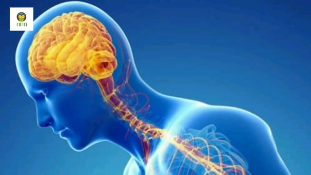 ОРЕХИ. Польза и вред. Что они творят... #орехи #пользаорехов