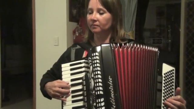 accordion playing смотреть онлайн