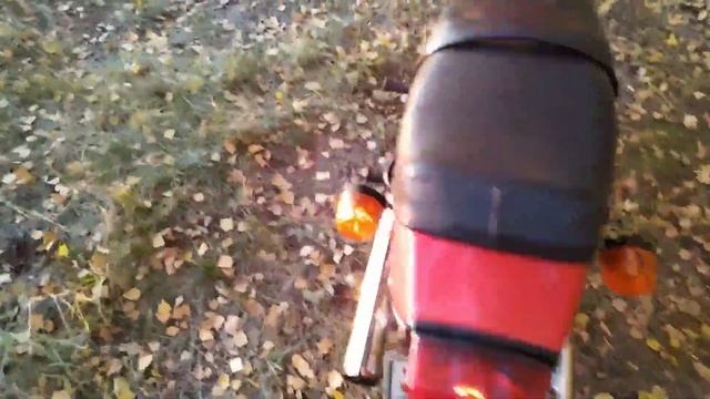 В осеннем лесу на Юпитере 5. Обзор мотоцикла. Немного грибов вам в ленту) смотреть онлайн