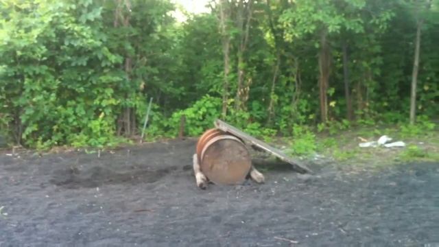 Лето, дача, день медика смотреть онлайн