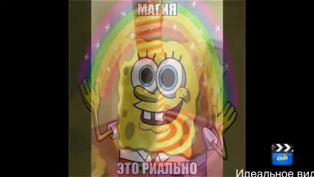 Фотки зверей смотреть онлайн