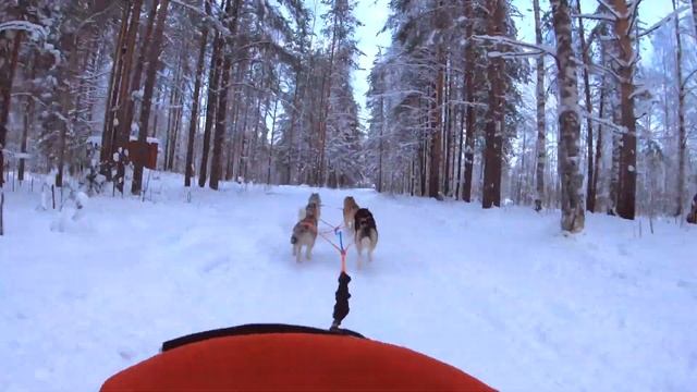 Go Pro 7 испытание стабилизации камеры смотреть онлайн