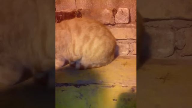 як зробити цепочку з дрота смотреть онлайн