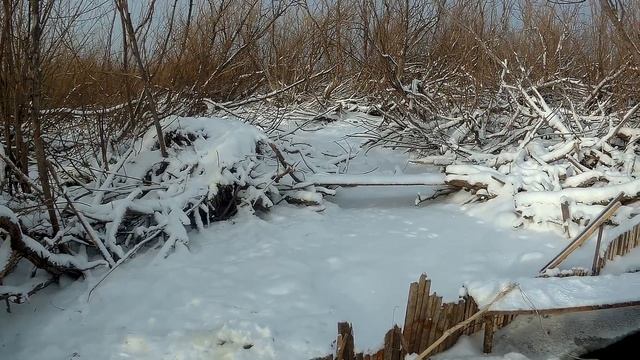 Рыбалка на паук в микро-ручье!!! Пол ведра за один подъем!!! Рыбалка 2019-2020!!! смотреть онлайн