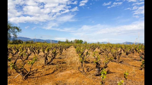 Ольвия, халк 380 360 до н э смотреть онлайн