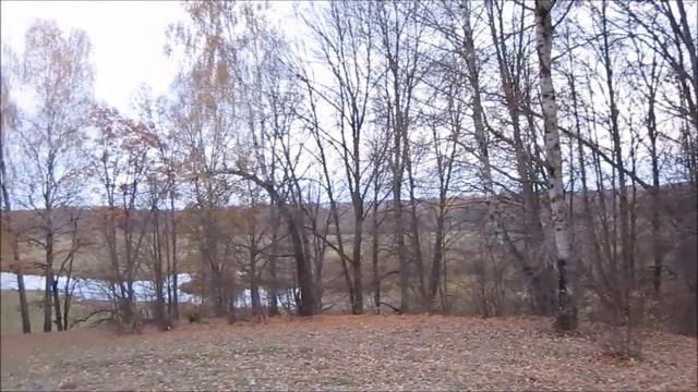 Десна Заводъ у Борчи смотреть онлайн