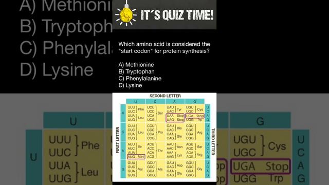Start Codon смотреть онлайн