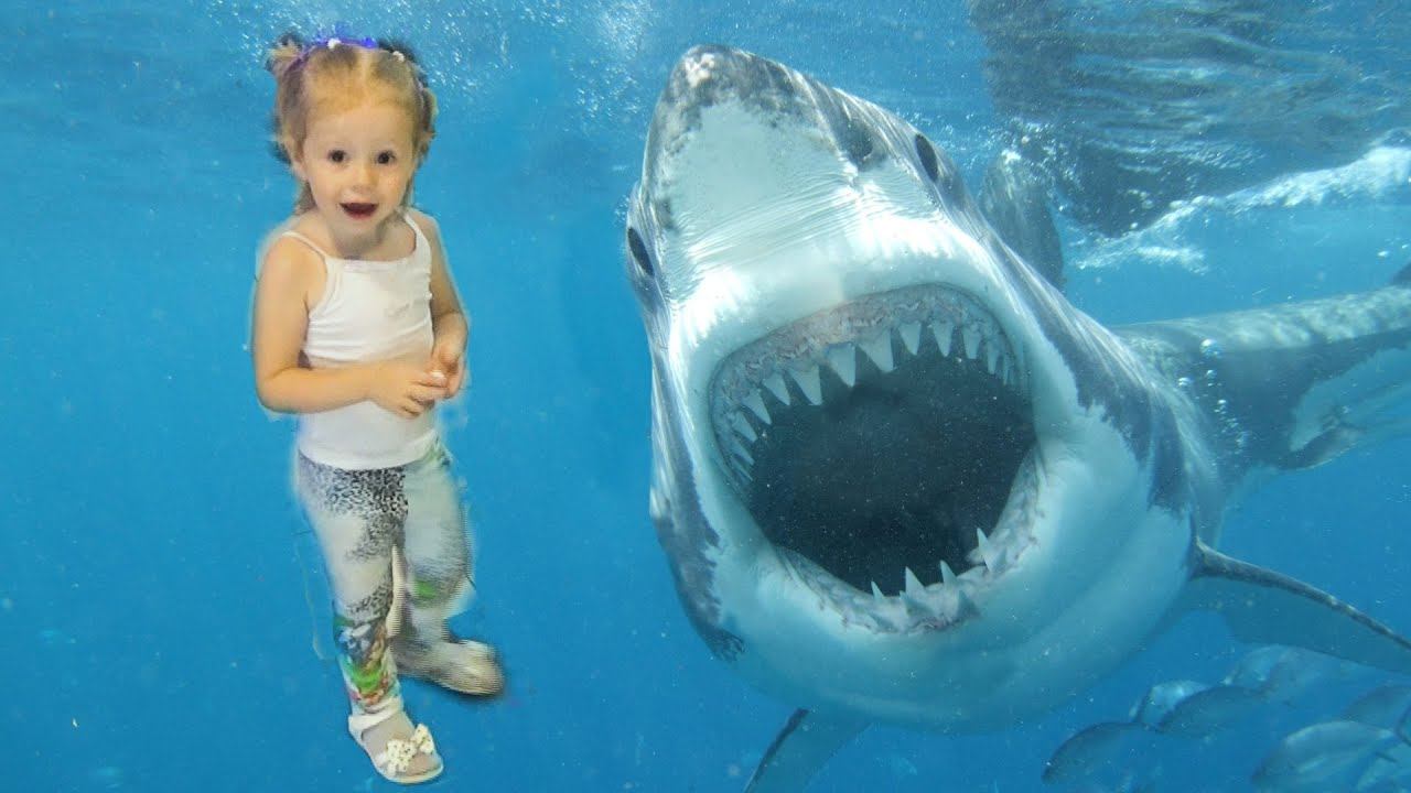 Влог Океанариум: Настя первый раз увидела АКУЛУ