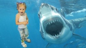 Влог Океанариум: Настя первый раз увидела АКУЛУ