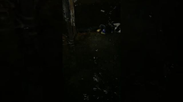 Аэратор, аэрация воды ,#аэрация #аэратор. смотреть онлайн