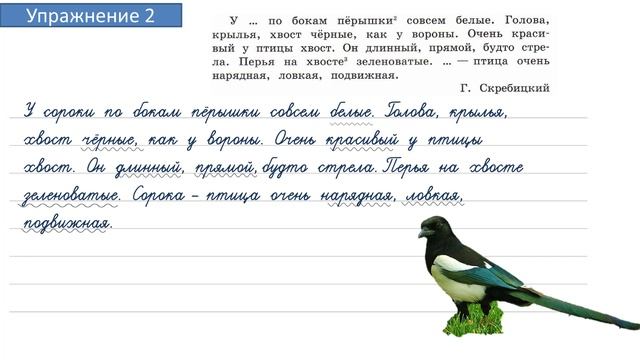 Упражнение 2 на странице 5. Русский язык 4 класс. Часть 2. смотреть онлайн