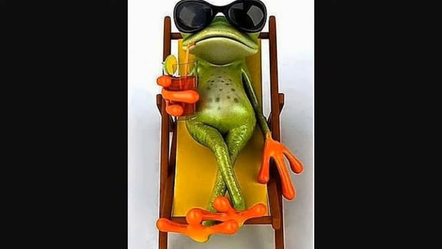 Жабы и лягушки фото! Посмотри обязательно!!! смотреть онлайн