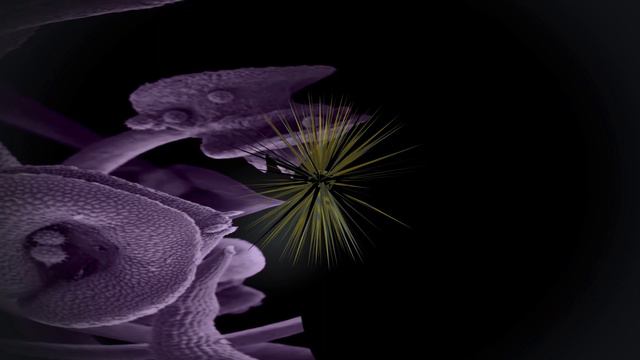 Strange Attractor three смотреть онлайн