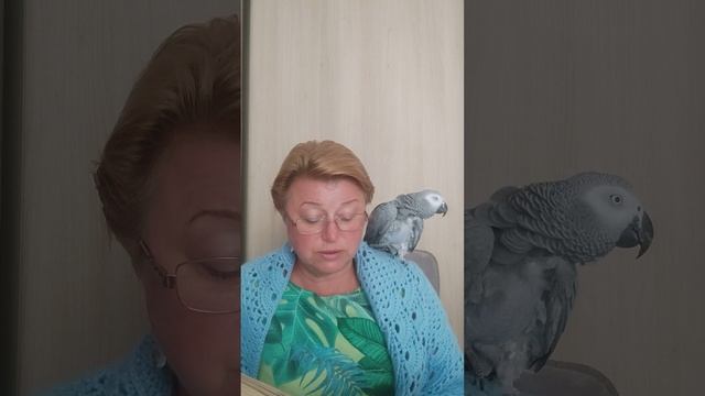 Валентина Осеева "Волшебная иголочка" смотреть онлайн