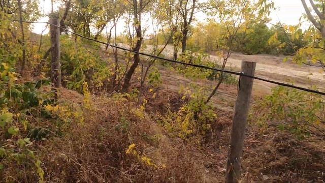 Ангарский экопарк(строится)-1 смотреть онлайн
