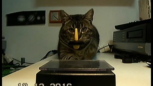 Camcorder Panasonic NV-S88 S -vhs-c смотреть онлайн