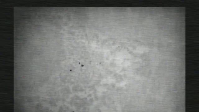 обнаружение лосей тепловизором с квадрокоптера,дальность около километра смотреть онлайн