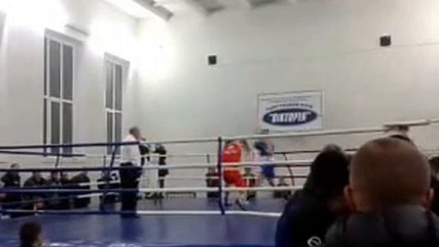 Бокс Житомир Виктория 21,11,2014 смотреть онлайн