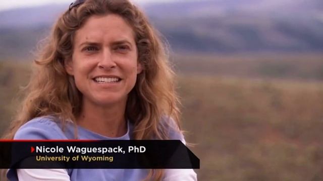 Journey to 10,000 BC - Smilodon Attack смотреть онлайн