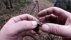 Nokta Makro Simplex plus. Первое золото