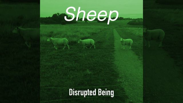 Sheep смотреть онлайн